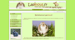Desktop Screenshot of lapinous.fr