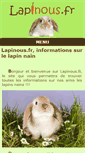 Mobile Screenshot of lapinous.fr